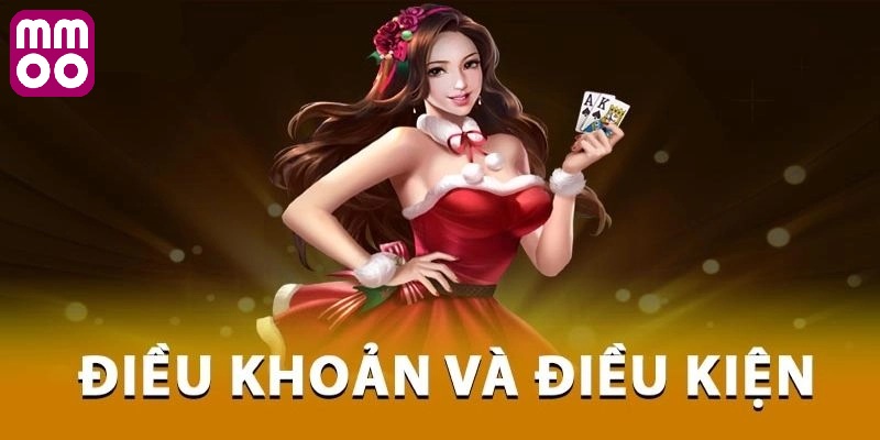 Tổng quan về điều khoản và điều kiện MMOO